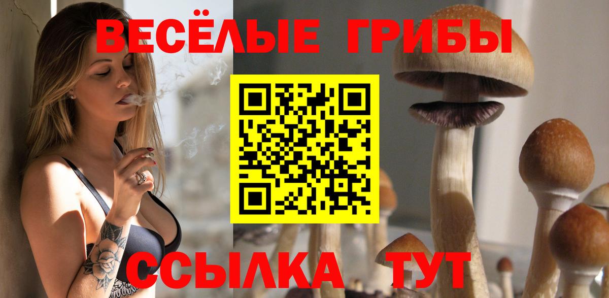 Псилоцибиновые грибы Magic Shrooms  Вход с VPN  Галлюциногенные грибы Psilocybine cubensis  Ахтубинск 